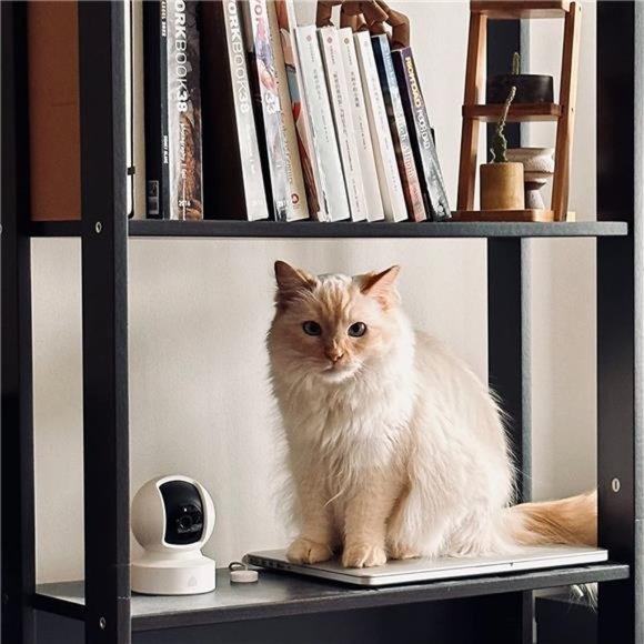 Indoor Pan/Tilt Smart Security Camera,1080p HD DogCamera 2.4GHz withNight Vision - Picture 6 of 6